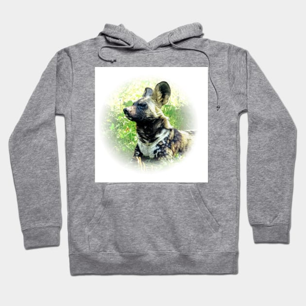 African wild dog Hoodie by Guardi